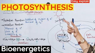 Photosynthesis  Reaction of photosynthesis class 11 bioenergetics [upl. by Disini]