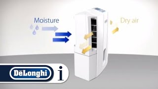 How a DeLonghi dehumidifier works [upl. by Alliuqal291]