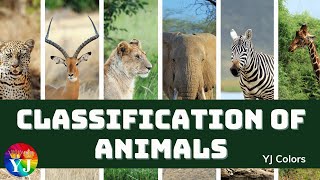 Classification of Animals  Types of animals  Vertebrates amp invertebrates  cocomelon  chuchutv [upl. by Meaghan818]