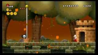 Newer Super Mario Bros Wii 100 World A  Goldwood Forest [upl. by Yelad]