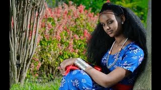 Best Wollo Song  ምርጥ የወሎ ዘፈን  Ethiopian Traditional Music [upl. by Polly862]