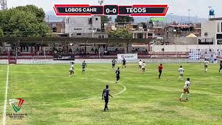 Lobos CARH vs Tecos de Temascalapa  Final Vuelta [upl. by Vinaya]