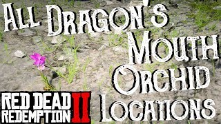 Red Dead Redemption 2  All 9 Dragons Mouth Orchid Locations Duchesses and Other Animals Exotics [upl. by Hastie]