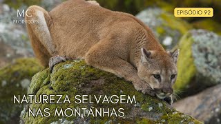 NATUREZA SELVAGEM NAS MONTANHAS [upl. by Akihsay]