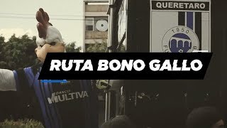 Ruta Bono Gallo [upl. by Gaul470]