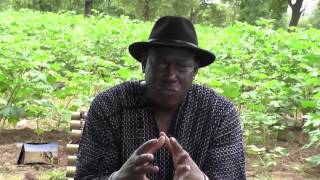 CIWARA du 8 octobre 2016 avec Bakary TOGOLA [upl. by Rape309]