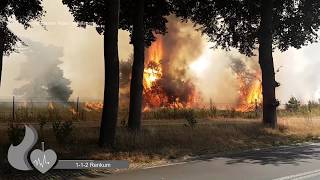 Primeur veel brandweer met spoed bij natuurbrand op park de hoge Veluwe in Otterlo [upl. by Fiel]