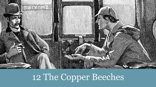 12 The Copper Beeches from The Adventures of Sherlock Holmes 1892 Audiobook [upl. by Gnos639]