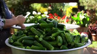 Winter prep pickling cucumbers the traditional way🧊 [upl. by Cutter]