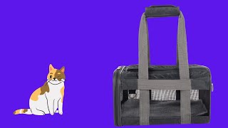 Before You Buy Sherpa Travel Original Deluxe Airline Approved Pet Carrier [upl. by Sipple264]