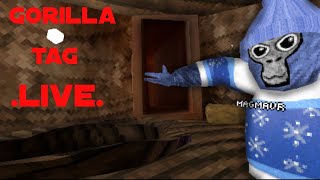 Gorilla tag live with viewers [upl. by Haissi545]