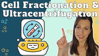 How to study cells  Cell fractionation and ultracentrifugation for AQA Alevel Biology [upl. by Whitelaw]