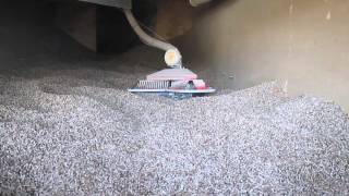 Schellinger Pellet Mole E3  feeding Entrade E3 [upl. by Aggappera442]