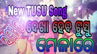 New Tusu jhumar song 2019  Sangat Dekha heba Tusu Melare [upl. by Alvan]