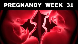 Pregnancy Week 31  Cravings Kicks Symptoms amp Baby Growth [upl. by Kursh]