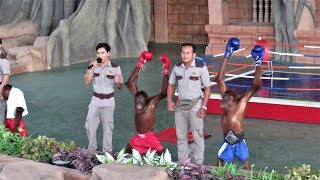 Funny Orangutan Boxing Show Must Watch  Orangutan Show at Phnom Penh City Zoo [upl. by Anaeerb]