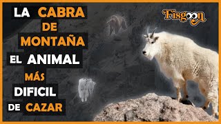 La Cabra de Montaña El Animal Más Difícil de Cazar [upl. by Notsrik]