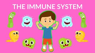 The Immune System Video  How to boost your Immunity  What is immune system and its function [upl. by Hafeetal710]