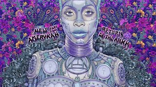 ERYKAH BADU NEW AMERYKAH PT 2 RETURN OF THE ANKH LIGHT PURPLE VINYL UNBOXING [upl. by Soloman]