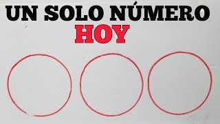 NUMEROS PARA HOY 10 de julio 2024 un pale caliente [upl. by Neiluj]