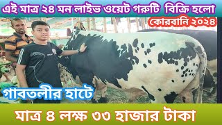 চুয়াডাঙ্গার ৭ লক্ষ টাকার গরু গাবতলীর হাটে বিক্রি করলাম ৪ লক্ষ ৩৩হাজার টাকায় অতঃপরQurbani haat 2024 [upl. by Boyt]