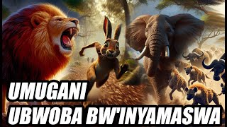 UMUGANII  UBWOBA BWINYAMASWA  ANIMATED MOVIE [upl. by Sabba]