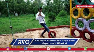 A visit to a Timmakka Tree Park Sagar road Bhatkal [upl. by Anohs]