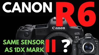 1DX Mark II sensor in the Canon EOS R6 [upl. by Jeannette380]