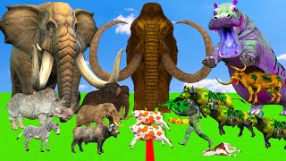 Giant Mammoth Elephants vs Zombie Hippo vs 5 Giant Lion Tiger Attack Baby Zebra Cow Buffalo Gorilla [upl. by Eladnor150]