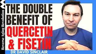 The DOUBLE Benefit of QUERCETIN amp FISETIN  Dr David Sinclair Interview Clips [upl. by Odel501]