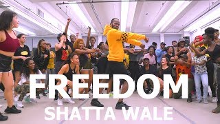 Shatta Wale  Freedom  Meka Oku Afro Dance Choreography [upl. by Egres]