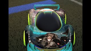 Rocket League  Custom Bear Car [upl. by Will]