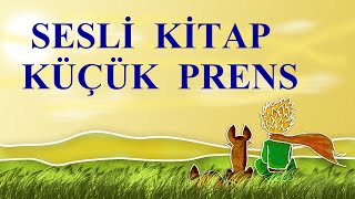 KÜÇÜK PRENS SESLİ KİTAP  TÜM BÖLÜMLER [upl. by Daas]