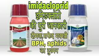 दीमक सफेद मक्खी BHP का दुश्मन एक वार में सब साफimidacloprid insecticide full information [upl. by Glenna858]