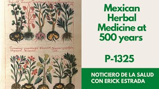 P1325 Mexican Herbal Medicine at 500 years [upl. by Htesil667]