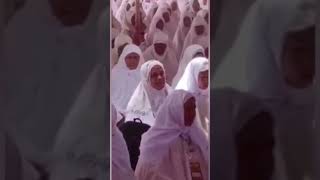 Zikir Tarekat Naqsyabandiyah [upl. by Lenahtan]