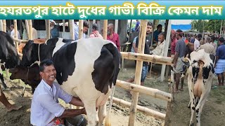 ১০ আগস্ট শনিবার ২৪  হযরতপুর হাটে দুধের গাভী বিক্রি কেমন দাম জানতে দেখুন বিস্তারিত অতঃপর [upl. by Christos]