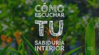 Cómo Escuchar tu Sabiduría Interior  TAO [upl. by Darla]