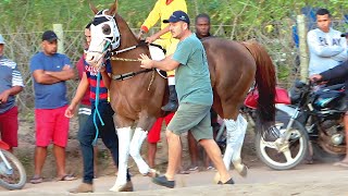 GP no Rio de Janeiro  Canto do Junco  Corrida de cavalos [upl. by Latsyrhk]