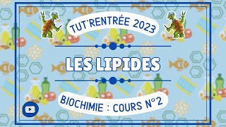 Biochimie  02  Les lipides [upl. by Wyne996]