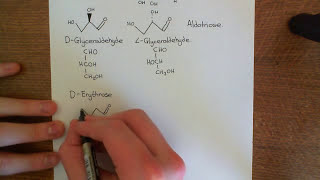 The Aldose Monosaccharides Part 1 [upl. by Ahsiekal]