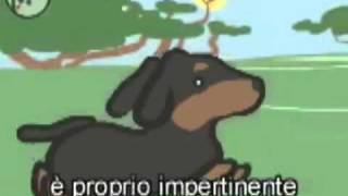 Il cane pufoente e la sua morte [upl. by Aicatsue]