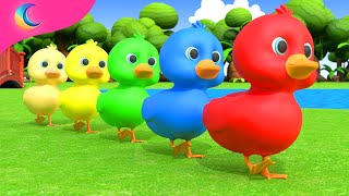 Five Little Ducks  Kids Songs  BluLoo Nursery Rhymes amp Kids Songs [upl. by Yma]