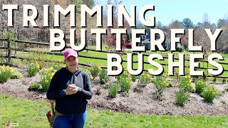 StepbyStep Guide How To Prune Butterfly Bushes [upl. by Nagrom]