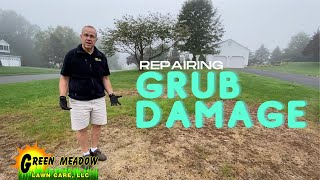 How to Repair Grub Damage in Your Lawn [upl. by Mirabella]