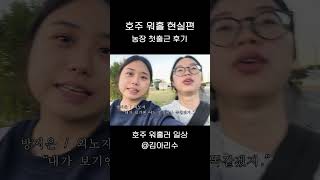 🇦🇺호주워홀 브이로그 호주워홀 농장 첫출근 소감 [upl. by Hanley273]