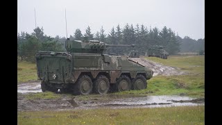 Lithuanian 8x8 Vilkas IFV 30 mm Autocannon  Brave Lion 2023 [upl. by Tiduj747]