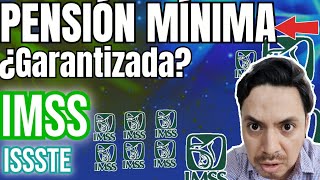 🗣️PENSIÓN IMSS Ley 73 Pensión Mínima 2024 lo que NADIE te explica 😱 también ley 97 🤑 [upl. by Annayt]