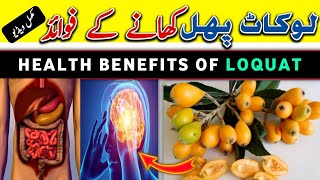 loquat fruit benefits in hindi  loqaut khane se kya hota hai  loquat khane ke fayde [upl. by Clova]