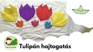 🌷🌷🌷 Tulipán hajtogatás  lépésrőllépésre instrukciókkal  Erdei Manó Mesék 🌷🌷🌷 [upl. by Yreme]